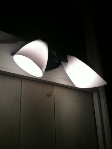 elephantbaits's profile picture. 