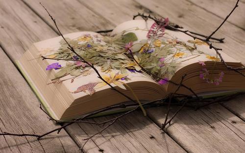 s3o0oddi's profile picture. 