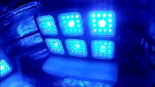 Led Grow http://t.co/ZPRKPynkWC features mmj videos articles and pictures