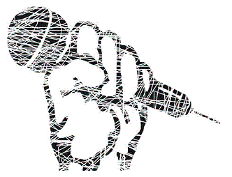 RomanvonamoR's profile picture. 