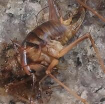 sangyun0825's profile picture. 사람이아니므니다