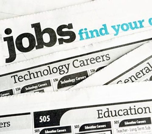 freshjobupdates's profile picture. For All Fresher And Experienced Job Updates