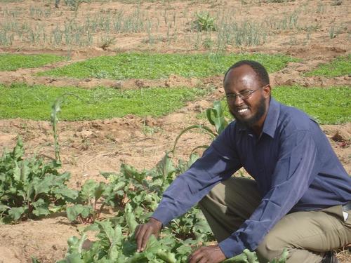 DrDucale's profile picture. Plant Breeder