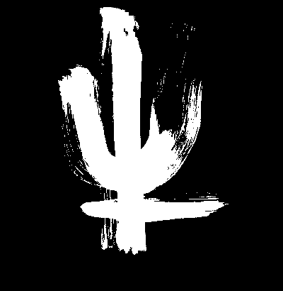 Liar805's profile picture. 