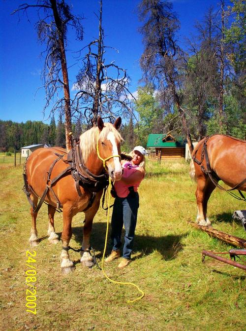 wildernessmomma's profile picture. I live in the wilderness with my husband, horses,dogs,cats. We took raw land and built us a home. We power our homestead with the sun.