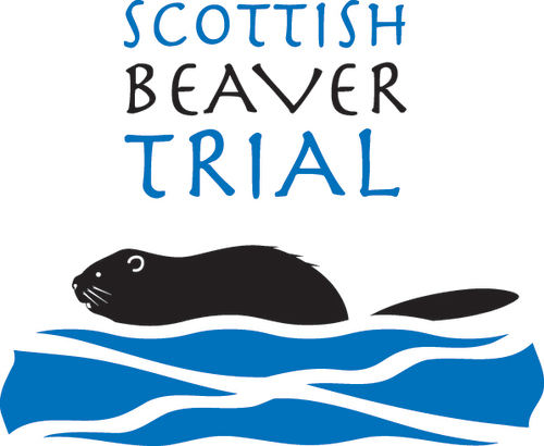 Beavers are back in Scotland for good, marking the successful conclusion of our project. Follow @Scotwildlife and @RZSS for more news on Scottish Beavers.