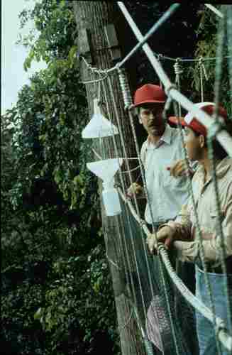 KlausRiede's profile picture. Zoologist/Entomologist interested in bioacoustics, biodiversity informatics and rainforest bugs. Field work in Ecuador (Amazonia), Argentina, Malaysia (Borneo).