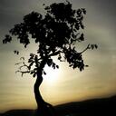 Catherine Horn - @DestinyIntern - Twitter