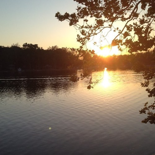 lisabookout's profile picture. 