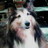 eba_0315's profile image