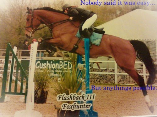 Hello I'm 18 and looking for a job on a show jumping yard . Please contact me via email on : ghedleyward@aol.com