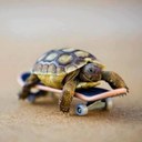 Harry Farrow - @HarryFarrow - Twitter