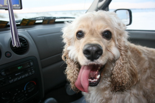 jhatcher20's profile picture. World traveler, who loves new adventures,