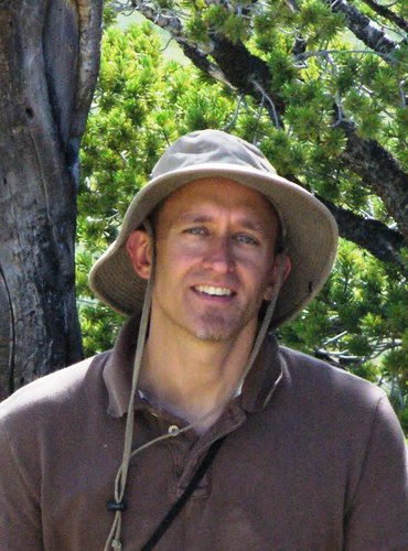 biology, environmental science, ecological history, forest ecology, life on Earth, evolution, information overload