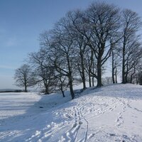 Roman Aldborough (@romanaldborough) 's Twitter Profile
