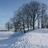 RomanAldborough's profile image