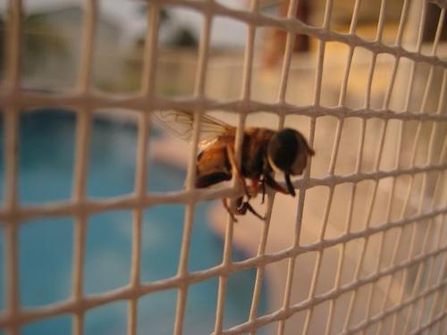 Thebumhips's profile picture. Indie/Jam Alt rock band from South Florida. More info at http://t.co/LhWP3qYx6I