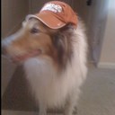 alan power - @acpower5 - Twitter