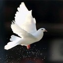 عامر العسيري (@0501406_) Twitter