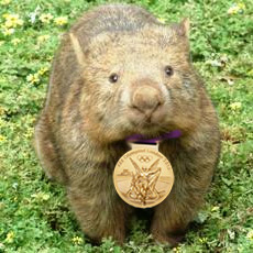 Small-ish, furry fan of the #USWNT. Very friendly unless @AbbyWambach gets mauled in the box. #guardianwombat