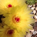 ramon rius - @rrv1952 - Twitter