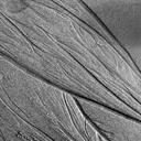 donna timney - @paintsound - Twitter