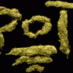 Marijuana Images (@marijuanaimages) Twitter profile photo Marijuana Images (@marijuanaimages) Twitter profile photo