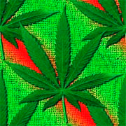 weed_images's profile picture. Check out http://t.co/PSF1NAP93m for thousands of marijuana images!