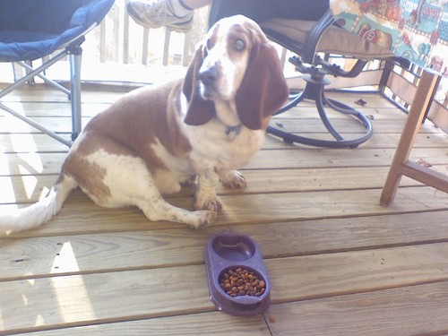 Glory Hound Events Profile