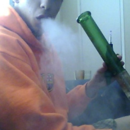 just a regular dude who smokes a lot of weed #teampothead #stonernation