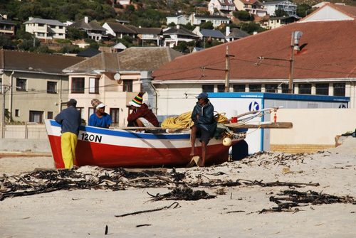 This site is dedicated to everything about Fish Hoek.