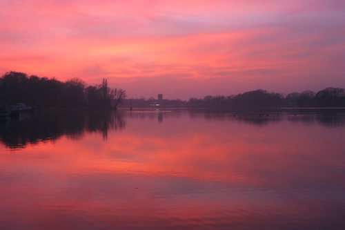 jojoanne's profile picture. 