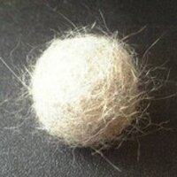 元ガー不製作BOT(もふ毛玉) (@mohumohukedama) 's Twitter Profile Photo 元ガー不製作BOT(もふ毛玉) (@mohumohukedama) 's Twitter Profile Photo