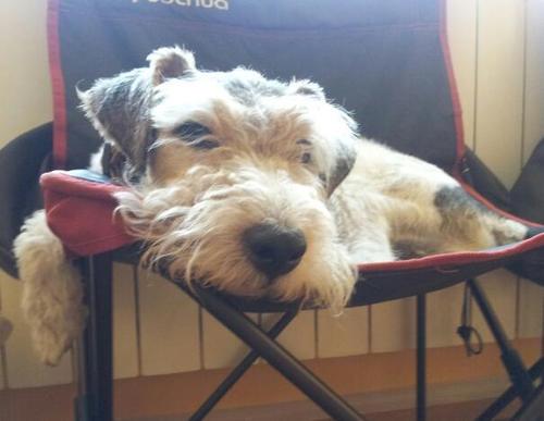 jmpd_yors's profile picture. Licenciado en CC. de la Actividad Fisica y del Deporte, entrenador personal de atletas y triatletas. Atleta, Duatleta y sobretodo Deportista!!