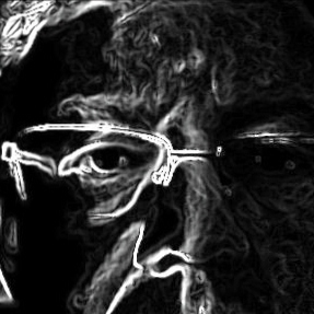 T4pp0r's profile picture. A Travelling Kiwi