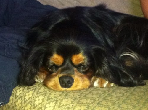 Rebanitra's profile picture. 