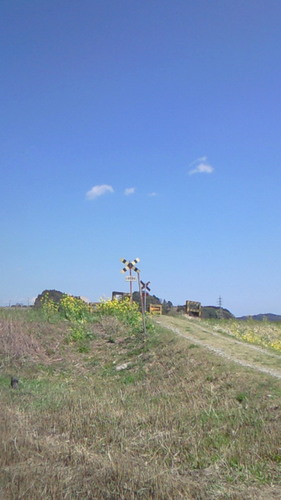 t2c5's profile picture. バス釣り、写真、サバゲー、熱帯魚が
趣味です