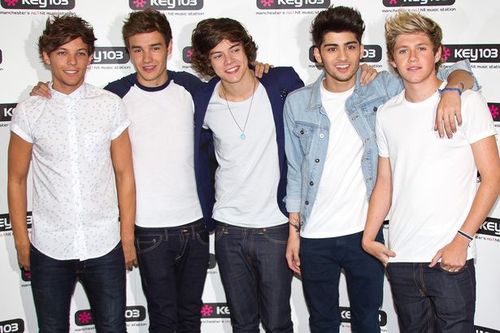 I love one direction,selena gomez ,justin beiber,jonas brother,demi lovato,bridgit mendler their music is great please follow me
