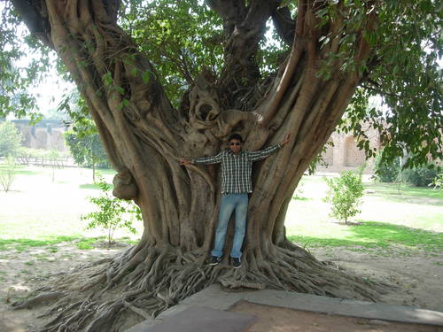 Like to listen to music, like to write..nature lover!!