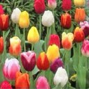 Vicki Ferrell - @ferrell_vicki - Twitter