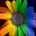 Tracey Ray - @caregiver_4_all - Twitter