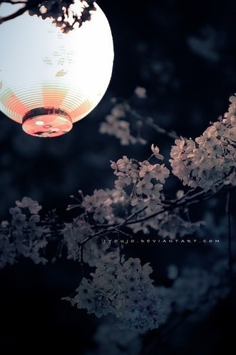 Life is so beautiful,the best is yet to come. 我是一只藏着尾巴装人类的喵叽~