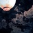 suri0503's profile image