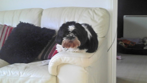 jakilad40's profile picture. 