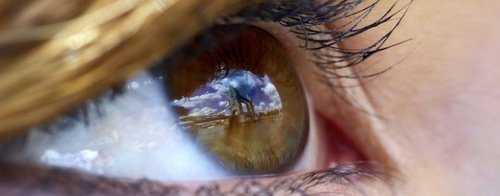 Park Plaza Hotels and eye research charity Fight for Sight have teamed up for a free photo competition. Upload your favourite view. Competition opens 13 August.