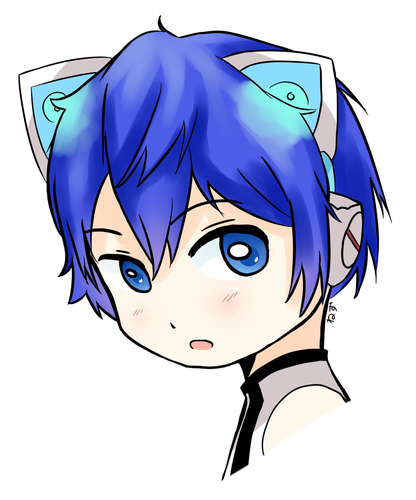 ネコサイバーです(=・ω・=)ゞ