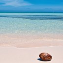 Tiffany Coco - @yluvohana - Twitter