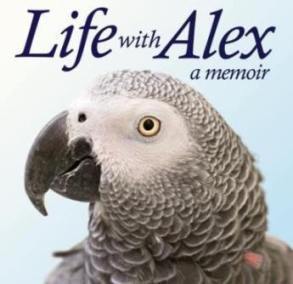 Alex had won the hearts of millions of fans around the world.                       DVD available from Grey Parrot Studios & streaming at Vimeo.