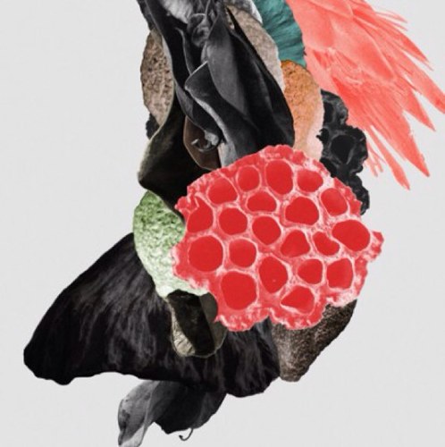 TamaraFrangelli's profile picture. 