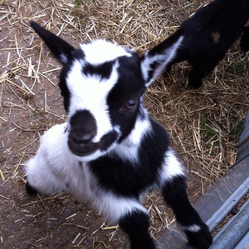 3_selvan's profile picture. 